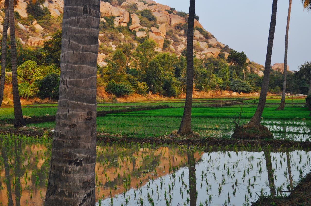 Uma Shankar Hampi Esterno foto